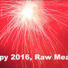Happy 2016, Raw Meaties! This is the year to learn to roller skate!